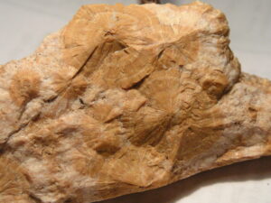Orange Natrolite