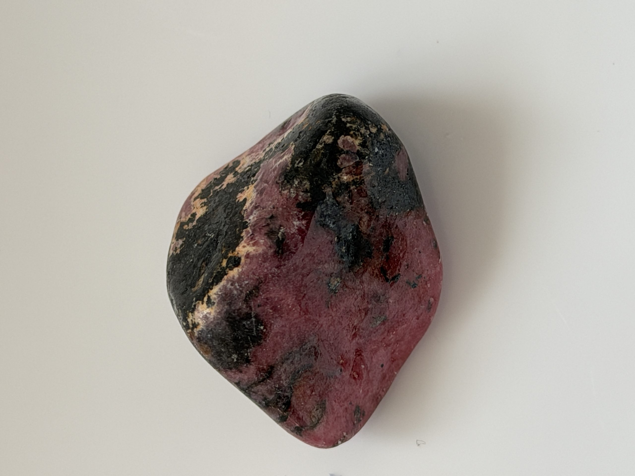 IMG_1466