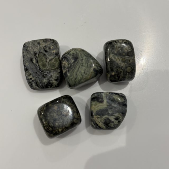 Tumbled Kambaba Jasper