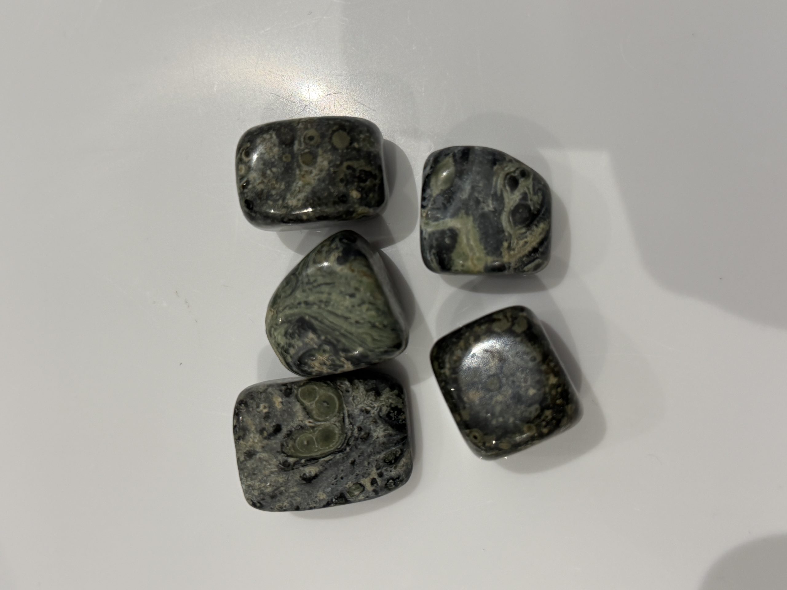 Tumbled Kambaba Jasper